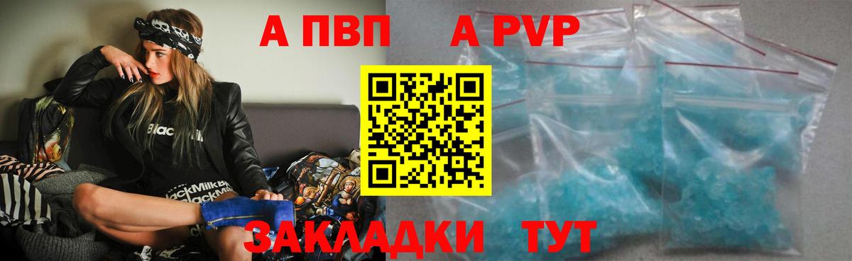 Alfa_PVP СК Майкоп