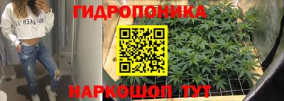 гидропоника Ипатово