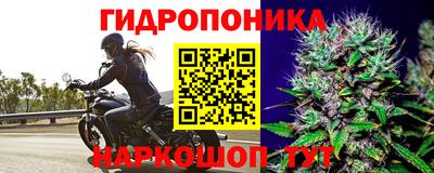 гидропоника Ипатово