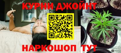 скорость Жуковский