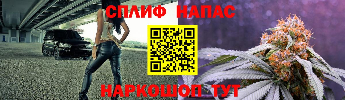 Конопля сатива  МАРИХУАНА ГИДРОПОН  Вход с VPN  Майкоп 